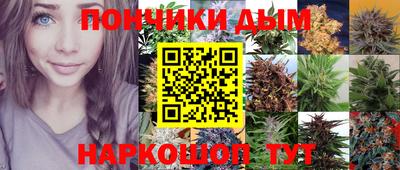spice Обь