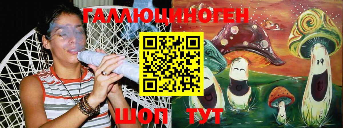 где найти наркотики  Псилоцибиновые грибы MAGIC MUSHROOMS  Вход с VPN  Галлюциногенные грибы мицелий  Отрадный 